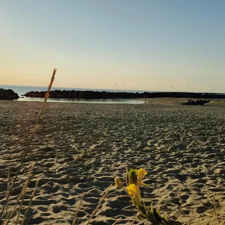 Sake' Lejlighed Senigallia